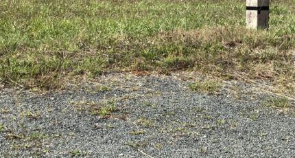 Asnières-la-Giraud Maison neuve - 2384042-10974annonce120260107DEbhi.jpeg Maisons France Confort