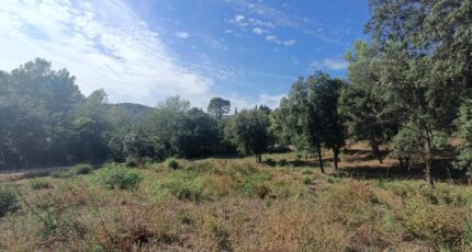 Taradeau Terrain à bâtir - 2384968-9911annonce120260107qcozx.jpeg Maisons France Confort