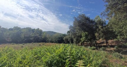 Taradeau Terrain à bâtir - 2384968-9911annonce320260107HT7ew.jpeg Maisons France Confort