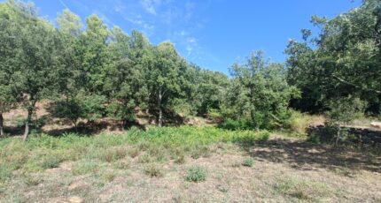 Taradeau Terrain à bâtir - 2384968-9911annonce4202601077VU18.jpeg Maisons France Confort