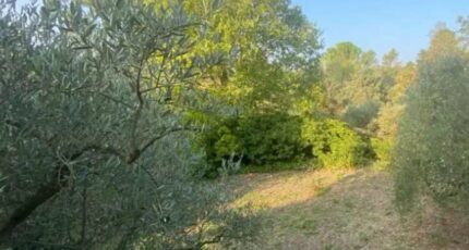 Carcès Terrain à bâtir - 2385048-11157annonce3202601077Cbm5.jpeg Maisons France Confort