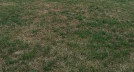 Montilly-sur-Noireau Terrain à bâtir - 2387240-1153annonce120250917OgRaM.jpeg Maisons France Confort