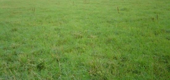 Terrain à bâtir à Villers-en-Ouche, Normandie