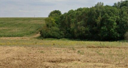 Gas Terrain à bâtir - 2387431-10686annonce120250918gX4vh.jpeg Maisons France Confort