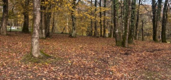 Terrain à bâtir à Camarsac, Nouvelle-Aquitaine