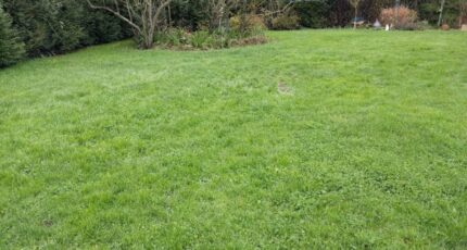 Monnerville Terrain à bâtir - 2389974-11705annonce320260210KKQxG.jpeg Maisons France Confort