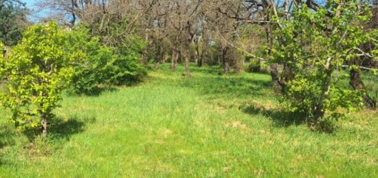 Terrain à bâtir à Montbartier, Occitanie