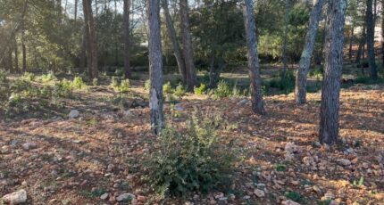 Trans-en-Provence Terrain à bâtir - 2394097-3951annonce120260115nsris.jpeg Maisons France Confort