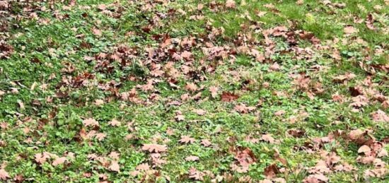 Terrain à bâtir à La Teste-de-Buch, Nouvelle-Aquitaine