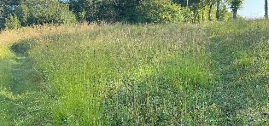 Terrain à bâtir à Villefranche-de-Lauragais, Occitanie