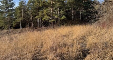 Tallard Maison neuve - 2399353-11714annonce120260120wALdW.jpeg Maisons France Confort