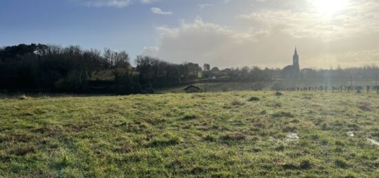 Terrain à bâtir à Saint-Seurin-de-Bourg, Nouvelle-Aquitaine