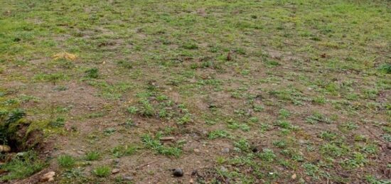 Terrain à bâtir à Plaisance-du-Touch, Occitanie