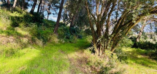 Terrain à bâtir à La Seyne-sur-Mer, Provence-Alpes-Côte d'Azur