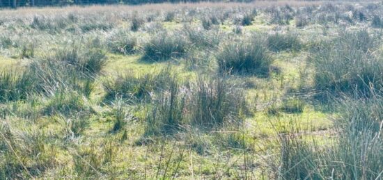 Terrain à bâtir à La Garde, Provence-Alpes-Côte d'Azur