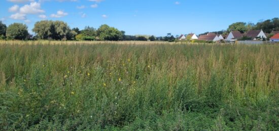 Terrain à bâtir à , Pas-de-Calais