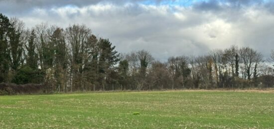 Terrain à bâtir à Vert-le-Petit, Île-de-France