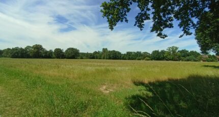 Plaisance-du-Touch Maison neuve - 2413023-10327annonce120260130KAq48.jpeg Maisons France Confort