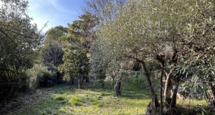 Flayosc Terrain à bâtir - 2415834-11723annonce320260202Nv44X.jpeg Maisons France Confort