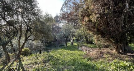 Flayosc Terrain à bâtir - 2415834-11723annonce420260202U4pkN.jpeg Maisons France Confort