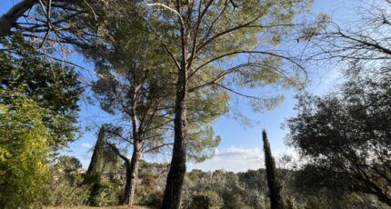 Flayosc Terrain à bâtir - 2415834-11723annonce5202602021VHIw.jpeg Maisons France Confort