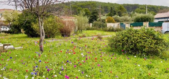Terrain à bâtir à Solliès-Pont, Provence-Alpes-Côte d'Azur
