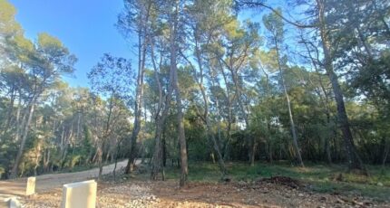 Lorgues Terrain à bâtir - 2419821-9911annonce120260205gNAO5.jpeg Maisons France Confort