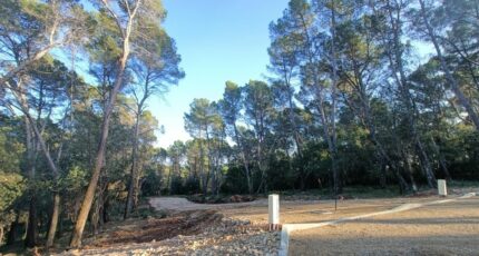 Lorgues Terrain à bâtir - 2419821-9911annonce420260205paSdR.jpeg Maisons France Confort