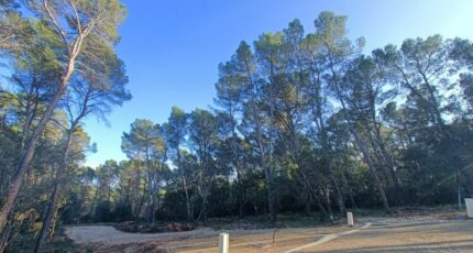 Lorgues Terrain à bâtir - 2419821-9911annonce520260205duDJm.jpeg Maisons France Confort