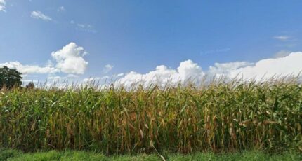 Avrainville Terrain à bâtir - 2420022-annonceTerrain-20260216161355.JPEG Maisons France Confort