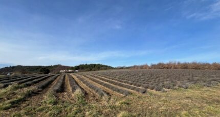 Roumoules Terrain à bâtir - 2419781-4622annonce220260205HwcAH.jpeg Maisons France Confort