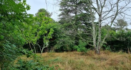 Bordeaux Maison neuve - 2421827-11261annonce120260207l3BXy.jpeg Maisons France Confort