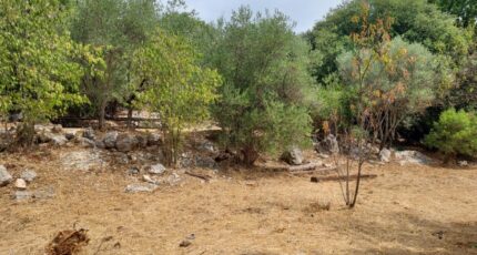 Camps-la-Source Maison neuve - 2385346-11137annonce320250915uXn46.jpeg Maisons France Confort