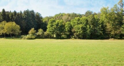 Franconville Terrain à bâtir - 2362044-11360annonce1202512098emem.jpeg Maisons France Confort