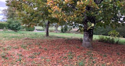 Prunet Terrain à bâtir - 2422944-6000annonce220231124TTX61.jpeg Maisons France Confort