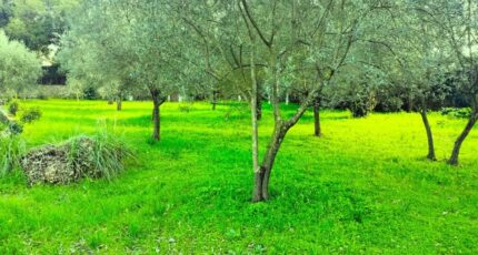 Draguignan Terrain à bâtir - 2354434-10025annonce220251202kQTGJ.jpeg Maisons France Confort