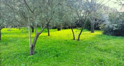 Draguignan Terrain à bâtir - 2354434-10025annonce320251202AdsTO.jpeg Maisons France Confort