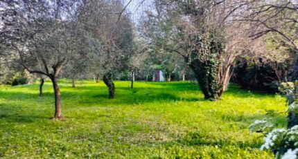 Draguignan Terrain à bâtir - 2354434-10025annonce520251202OheeV.jpeg Maisons France Confort