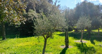 Draguignan Terrain à bâtir - 2354434-10025annonce120251202aqtTF.jpeg Maisons France Confort