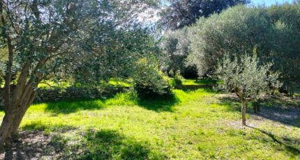 Draguignan Terrain à bâtir - 2354434-10025annonce220251202wvVVZ.jpeg Maisons France Confort