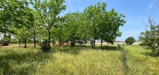 Terrain à bâtir à Villegailhenc, Occitanie