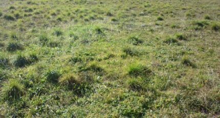 Trausse Terrain à bâtir - 2424952-10986annonce120250701np38F.jpeg Maisons France Confort