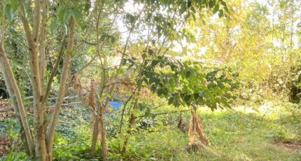 Mérignac Terrain à bâtir - 2365517-11674annonce1202512110nN9p.jpeg Maisons France Confort