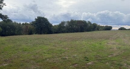 Montastruc-la-Conseillère Terrain à bâtir - 2424876-11356annonce4202602119PJ55.jpeg Maisons France Confort