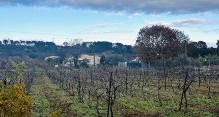 Lorgues Terrain à bâtir - 2368924-4529annonce320251215L6UFr.jpeg Maisons France Confort