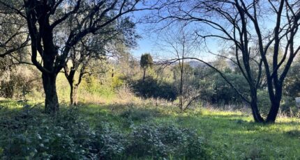 Grasse Maison neuve - 2428303-10140annonce920260213Z7fz3.jpeg Maisons France Confort