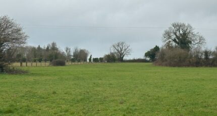 Brouay Terrain à bâtir - 2428559-11660annonce120260213QbaMb.jpeg Maisons France Confort