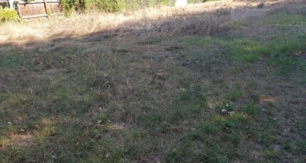 Le Taillan-Médoc Terrain à bâtir - 2431853-11301annonce120260217Jm4e8.jpeg Maisons France Confort