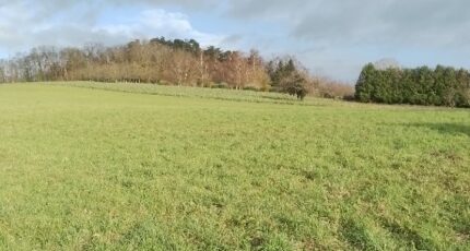 Mareuil-la-Motte Maison neuve - 2365992-11662annonce120251211aiMgw.jpeg Maisons France Confort