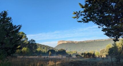 Valflaunès Terrain à bâtir - 2399227-3243annonce2202601200lJwq.jpeg Maisons France Confort